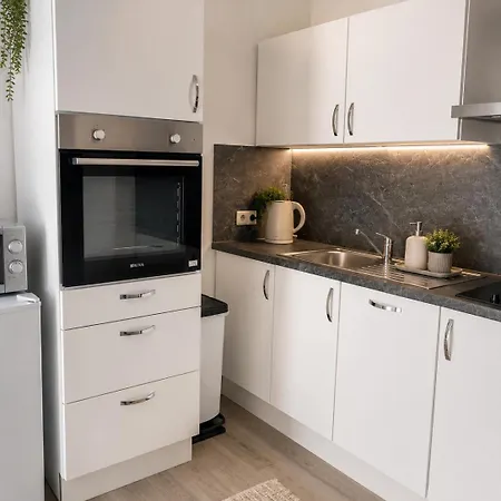 Apartment Modern With Balcony, Kitchen & Free Parking Balingen
